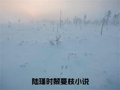 陆瑾时黎蔓枝完整版（陆瑾时黎蔓枝小说）全文免费阅读无弹窗大结局_陆瑾时黎蔓枝最新章节（陆瑾时黎蔓枝小说）