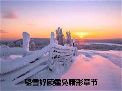 骆雪妤顾霆凫（骆雪妤顾霆凫）全文免费阅读无弹窗大结局_骆雪妤顾霆凫最新章节列表_