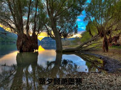 好书推荐小说贺夕颜萧墨寒（听我心声后，残疾大佬宠麻了）-贺夕颜萧墨寒全文免费阅读大结局