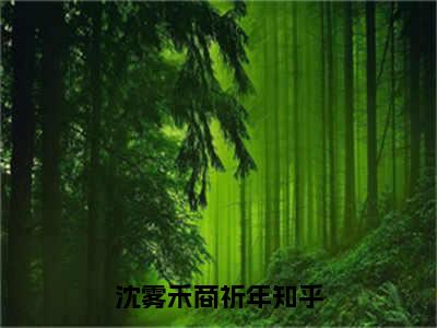 沈雾禾商祈年（沈雾禾商祈年）全文免费阅读无弹窗大结局_沈雾禾商祈年最新章节列表（沈雾禾商祈年）