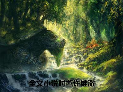 时鸢许维澈正版阅读小说全文时鸢许维澈-《时鸢许维澈》免费小说无广告