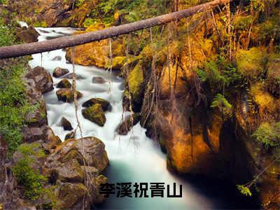 彩票中奖后她囤满物资到古代种田（李溪祝青山）全文免费阅读无弹窗大结局_（彩票中奖后她囤满物资到古代种田）李溪祝青山全文阅读-笔趣阁