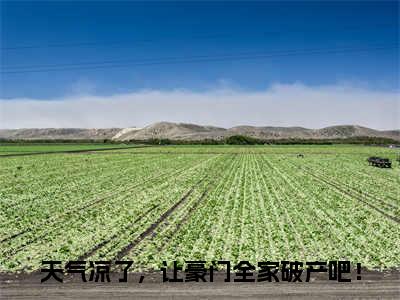 姜青黎贺江屿（天气凉了，让豪门全家破产吧！）小说全文免费阅读-姜青黎贺江屿免费阅读完整版