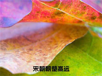 宋朝朝楚高远（宋朝朝楚高远）全文免费阅读无弹窗大结局_（宋朝朝楚高远全文免费阅读无弹窗）最新章节列表_笔趣阁