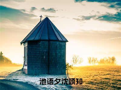 小说池语夕沈颂知全文免费阅读无弹窗大结局-池语夕沈颂知在线阅读