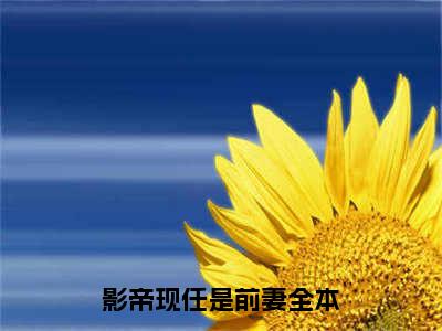 影帝现任是前妻小说全文免费阅读-霍承翔顾盼最新章节列表免费阅读