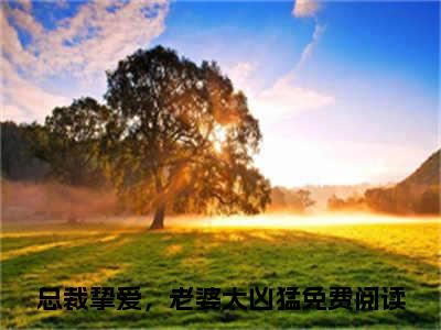 谢若巧杜晓南（总裁挚爱，老婆太凶猛）小说全文免费阅读正版无弹窗_（总裁挚爱，老婆太凶猛）免费阅读无弹窗最新章节列表