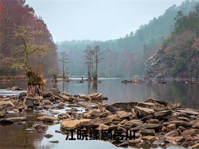 江晓缘顾岳川全文免费在线阅读_（江晓缘顾岳川全文免费阅读无弹窗大结局）江晓缘顾岳川最新章节列表笔趣阁