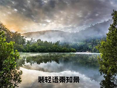 裴轻语秦知景（裴轻语秦知景）全文在线阅读无弹窗大结局_裴轻语秦知景免费阅读全文大结局