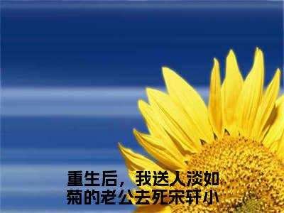 百分爆评热文重生后，我送人淡如菊的老公去死宋轩_重生后，我送人淡如菊的老公去死宋轩小说无弹窗在线阅读