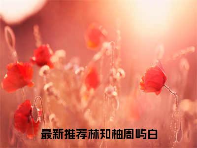 林知柚周屿白（林知柚周屿白）小说全文无广告阅读-林知柚周屿白小说赏析