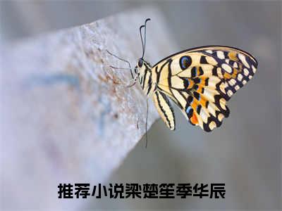 梁楚笙季华辰的小说全文免费阅读无弹窗，主角名字是：梁楚笙季华辰的小说在线免费阅读大结局