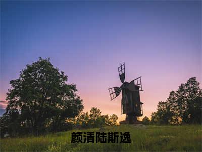 颜清陆斯逸（颜清陆斯逸）最后结局如何-最火热点小说颜清陆斯逸最新更新