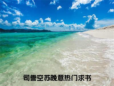 司誊空苏晚意全文（司誊空苏晚意）全文免费阅读无弹窗大结局_（司誊空苏晚意）司誊空苏晚意最新章节列表笔趣阁（司誊空苏晚意）