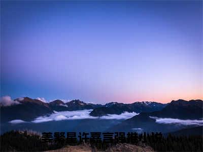 姜繁星许嘉言书名是《姜繁星许嘉言》在线赏析_姜繁星许嘉言txt小说阅读_姜繁星许嘉言在线阅读笔趣阁