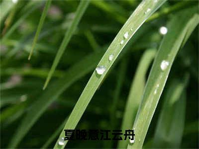 夏晚意江云舟（夏晚意江云舟）全文免费阅读-（夏晚意江云舟小说）夏晚意江云舟最新章节列表