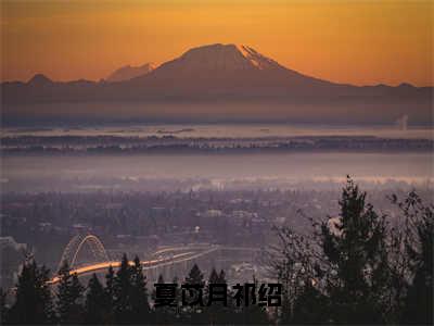 夏苡月祁绍小说免费阅读-精选好书夏苡月祁绍