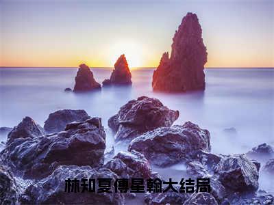 林知夏傅星翰（林知夏傅星翰）全文免费阅读无弹窗_林知夏傅星翰最新小说_笔趣阁（林知夏傅星翰）