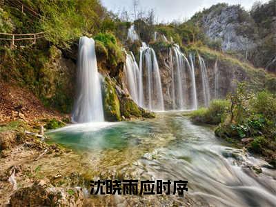 沈晓雨应时序小说免费阅读无弹窗-沈晓雨应时序（沈晓雨应时序）小说免费阅读无弹窗大结局