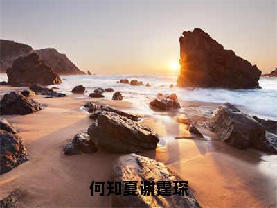 精选小说（何知夏谢霆琛）全本阅读-何知夏谢霆琛免费阅读-笔趣阁（何知夏谢霆琛）