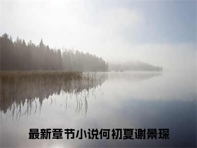 新书热荐何初夏谢景琛全文免费阅读无弹窗大结局-小说何初夏谢景琛全文完整版免费阅读