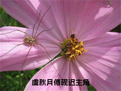 虞秋月傅砚迟全文免费阅读无弹窗大结局_ （虞秋月傅砚迟完结）虞秋月傅砚迟小说最新章节列表