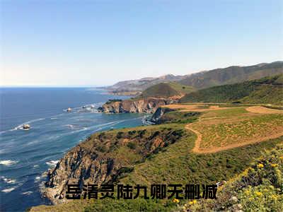 岳清灵陆九卿(岳清灵陆九卿)全文免费阅读无弹窗大结局_岳清灵陆九卿