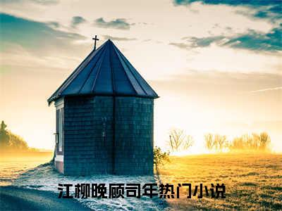 江柳晚顾司年（江柳晚顾司年）全文免费阅读无弹窗大结局_（江柳晚顾司年）江柳晚顾司年最新章节列表_笔趣阁（江柳晚顾司年）