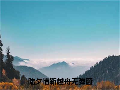 陆夕惜靳越舟免费小说 陆夕惜靳越舟全文在线阅读