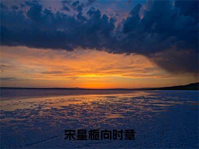 宋星栀向时章小说（宋星栀向时章）全文免费阅读无弹窗_宋星栀向时章全文免费阅读无弹窗最新章节列表笔趣阁（宋星栀向时章）