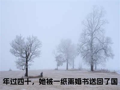 年过四十，她被一纸离婚书送回了国（徐念宁孟景州）全文免费阅读无弹窗大结局_徐念宁孟景州:年过四十，她被一纸离婚书送回了国最新章节列表_笔趣阁