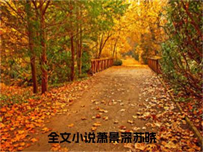 萧景深苏晓(萧景深苏晓)全文免费阅读无弹窗大结局_(萧景深苏晓)小说免费阅读无弹窗最新章节列表