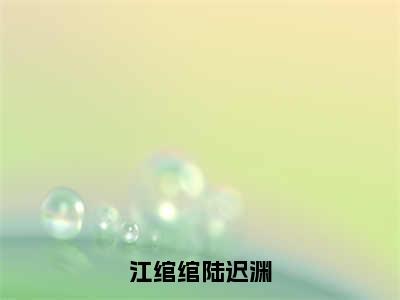 最火言情小说（江绾绾陆迟渊）-老书虫良心推荐江绾绾陆迟渊（江绾绾陆迟渊）小说精彩免费试读