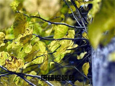 唐植煜颂枝小说最新章节（唐植煜颂枝）全文免费阅读无弹窗大结局_唐植煜颂枝免费阅读（唐植煜颂枝小说）