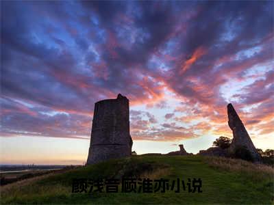 颜浅音顾淮亦（颜浅音顾淮亦）热门小说盘点在线阅读-颜浅音顾淮亦小说无弹窗