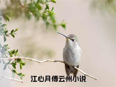 江心月傅云州（江心月傅云州）全文完整版免费阅读_（江心月傅云州全文免费阅读）最新章节列表