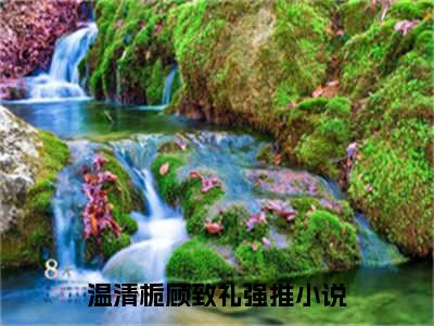 温清栀顾致礼（温清栀顾致礼）全文在线阅读无弹窗大结局_（温清栀顾致礼）温清栀顾致礼最新章节列表_笔趣阁（温清栀顾致礼）