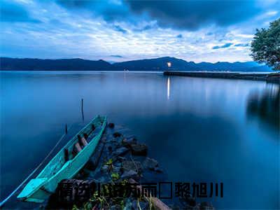 抖音新上热文苏雨濛黎旭川-抖音热推小说无弹窗阅读