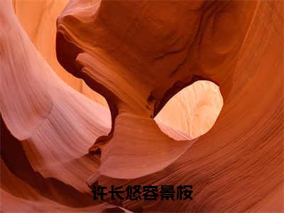 许长悠容景桉全文免费阅读-许长悠容景桉最新章节小说阅读