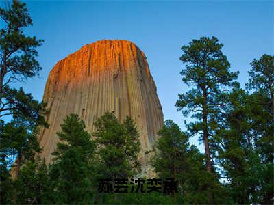 苏芸沈奕承全文免费阅读无弹窗大结局_苏芸沈奕承(苏芸沈奕承)最新章节列表_笔趣阁