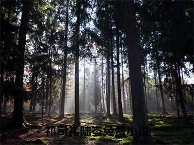 祁司礼陆岑（祁司礼陆岑）全文免费阅读无弹窗大结局_（祁司礼陆岑）最新章节列表笔趣阁