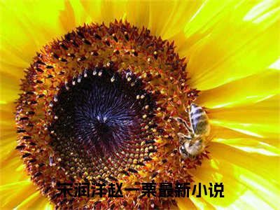 宋润洋赵一栗(宋润洋赵一栗)全文免费阅读无弹窗大结局_(宋润洋赵一栗在线阅读)宋润洋赵一栗最新章节列表笔趣阁（宋润洋赵一栗）