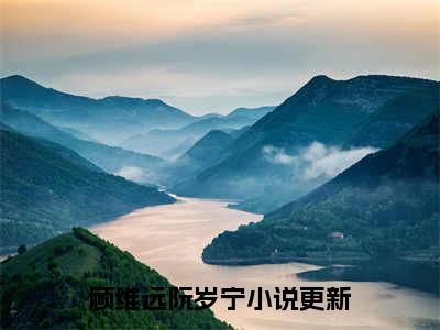 顾维远阮岁宁全文阅读 顾维远阮岁宁小说最新章节