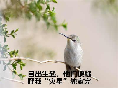 江聿风宋佳柠（自出生起，他们便称呼我“灾星”）在哪免费看-江聿风宋佳柠小说（自出生起，他们便称呼我“灾星”）全文完整版免费阅读