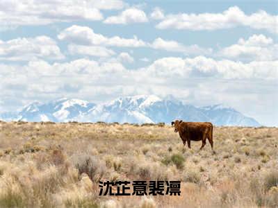 沈芷意裴凛小说免费阅读无弹窗，小说名字是：沈芷意裴凛的小说在线阅读无删减