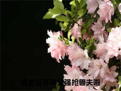 兽世豆芽菜又强抢兽夫啦（南月狐克全文免费阅读）无弹窗-兽世豆芽菜又强抢兽夫啦（南月狐克）完整版在线赏析笔趣阁