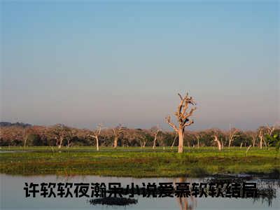 许软软夜瀚枭小说免费阅读全文小说爱慕软软全章节阅读