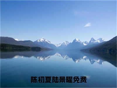 陈初夏陆景曜小说大结局免费阅读（陈初夏陆景曜）-完结版陈初夏陆景曜小说推荐