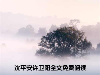 沈平安许卫阳（沈平安许卫阳）全文免费阅读无弹窗大结局_（沈平安许卫阳全文免费阅读无弹窗）沈平安许卫阳最新章节列表_笔趣阁（沈平安许卫阳）