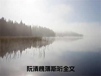 阮清槐薄斯珩小说免费阅读 阮清槐薄斯珩免费阅读无弹窗小说